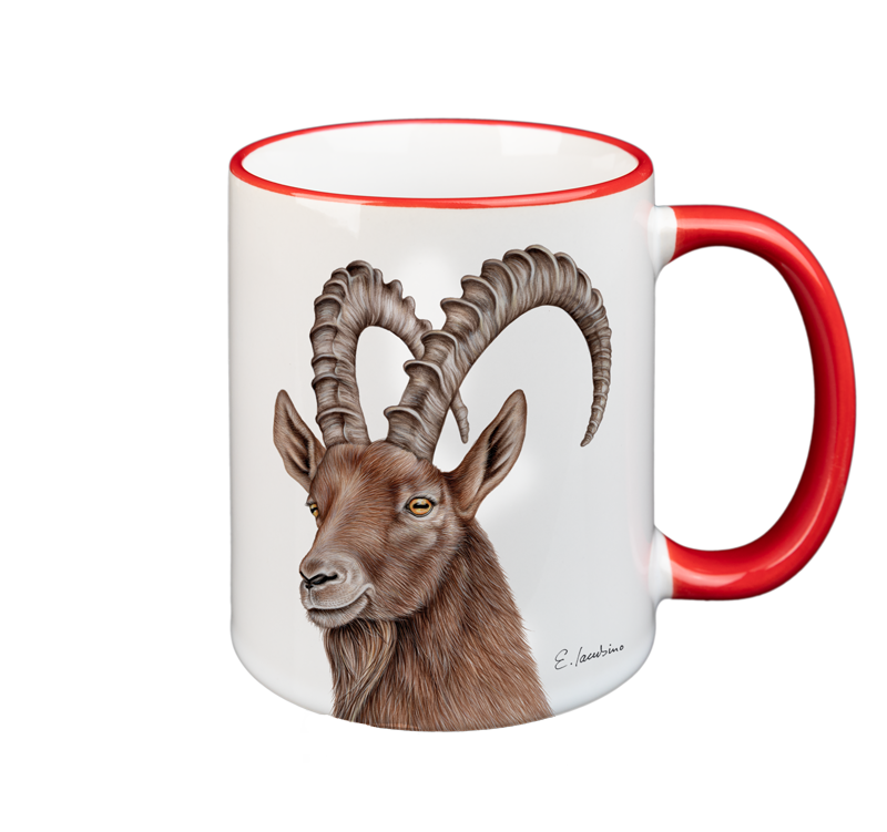 A white ceramic mug with a red rim and handle features a detailed illustration of a brown mountain goat with large, curved horns. The goat's head is facing forward, and there is a signature of the artist at the bottom right. This microwave and dishwasher safe Mug- Capricon by Cuckoo's Nest combines artistry with practicality.